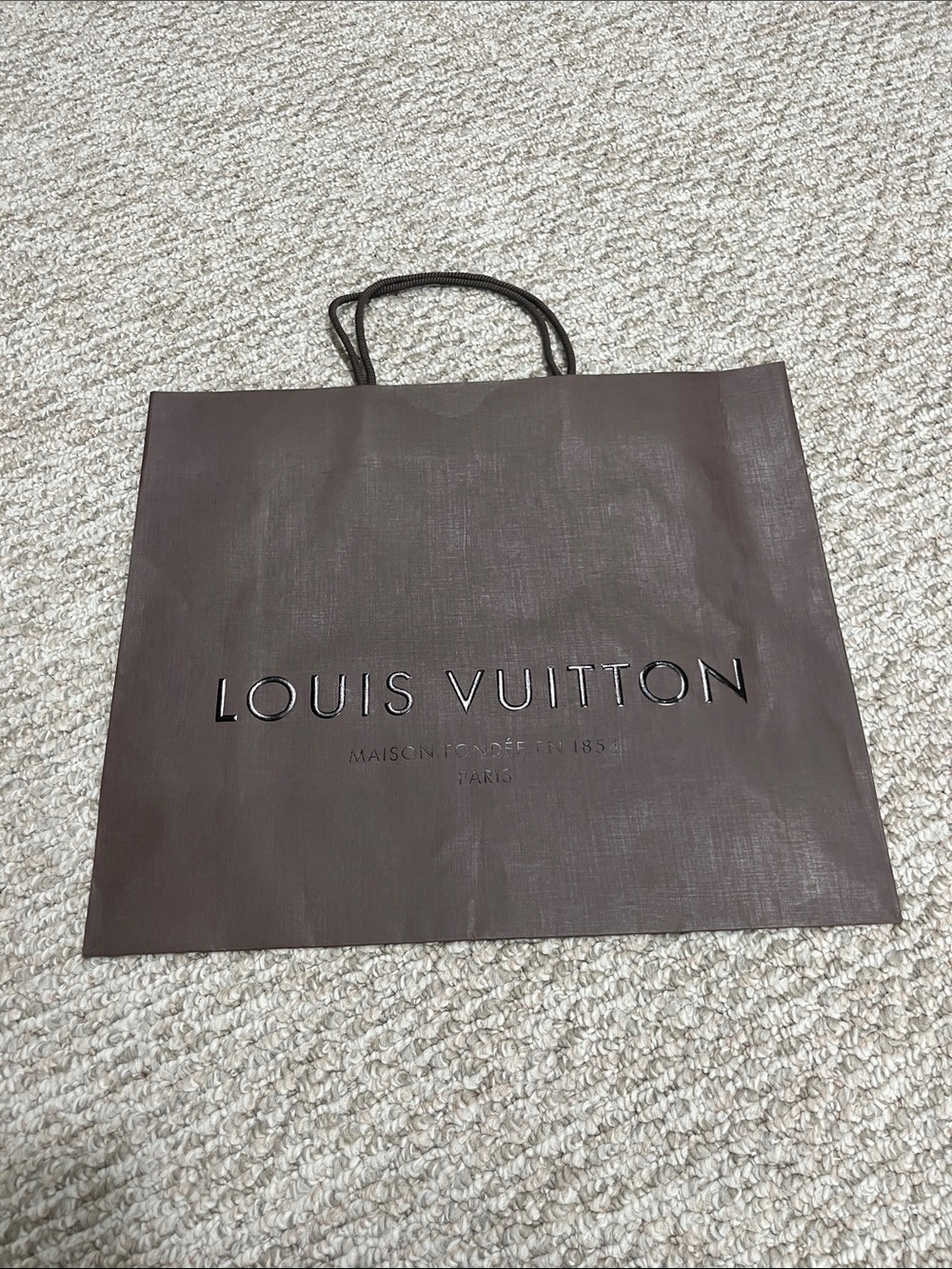 Louis Vuitton shopping bag
